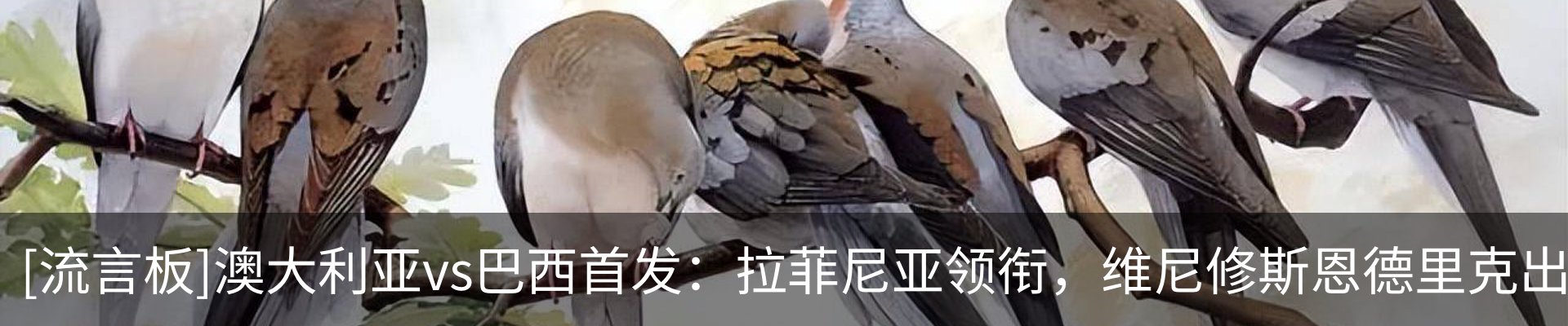 内页banner